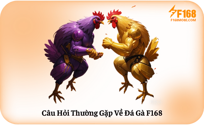 Câu Hỏi Thường Gặp Về Đá Gà F168
