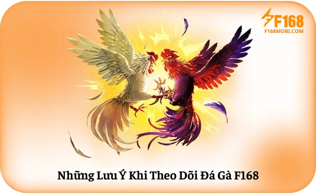 Những Lưu Ý Khi Theo Dõi Đá Gà F168