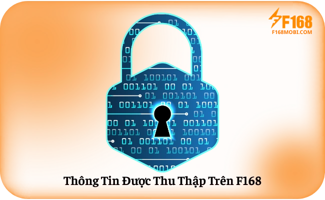 Thông Tin Được Thu Thập Trên F168